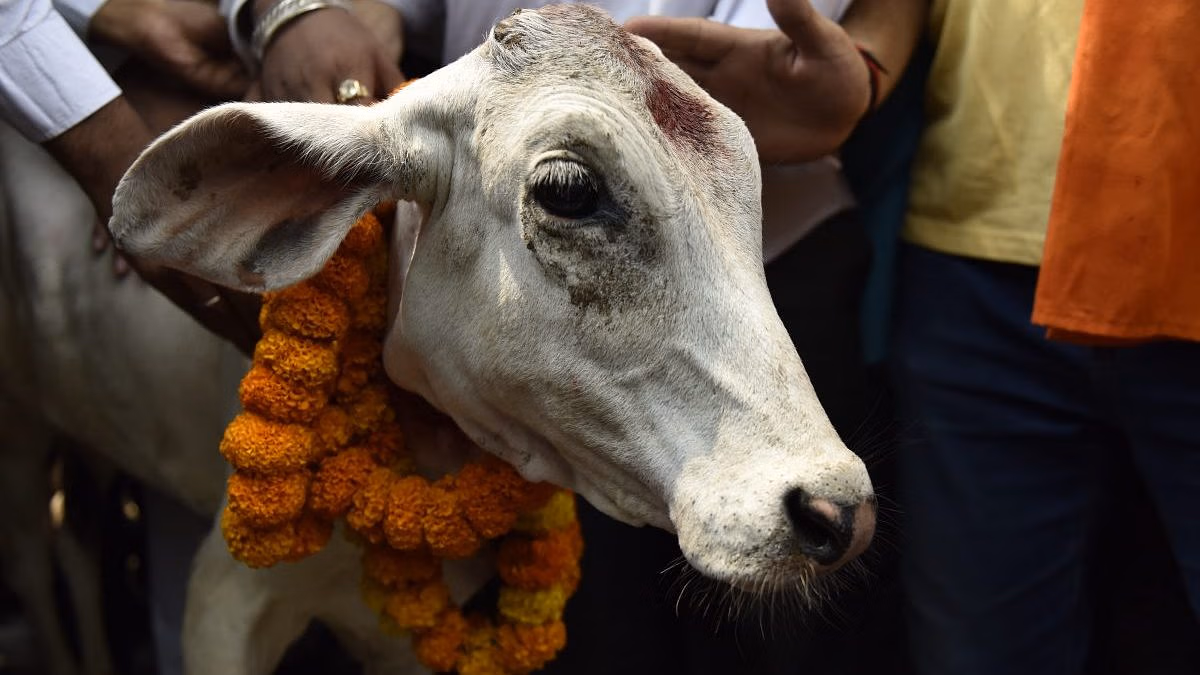 Bajrang Dal Rally